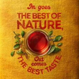 Lipton Yellow Label Tea Packet 2 x, 400g - image 6