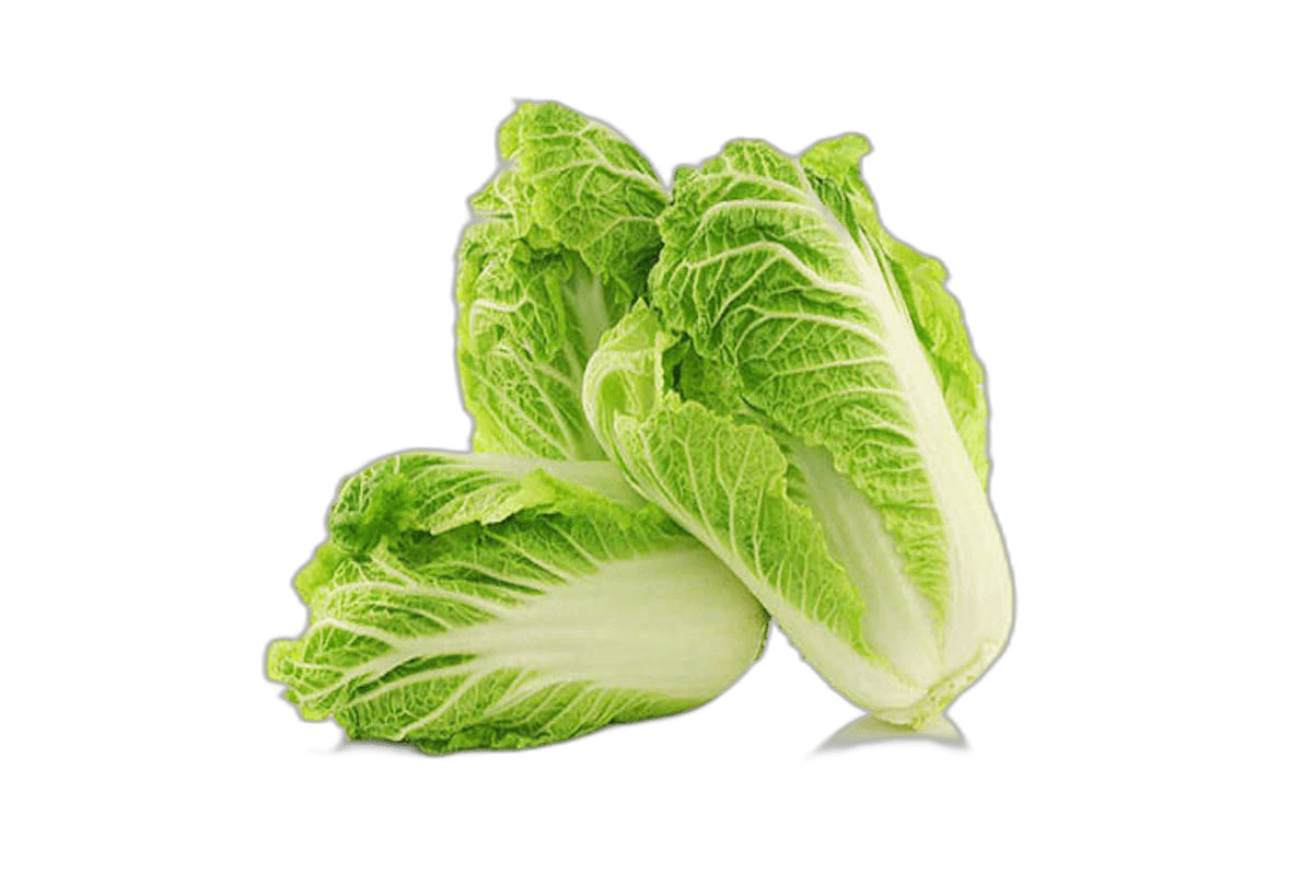 Chinese Cabbage 1 kg