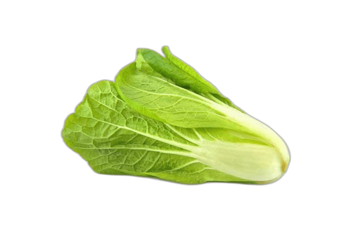 Lettuce Jordan 1 kg