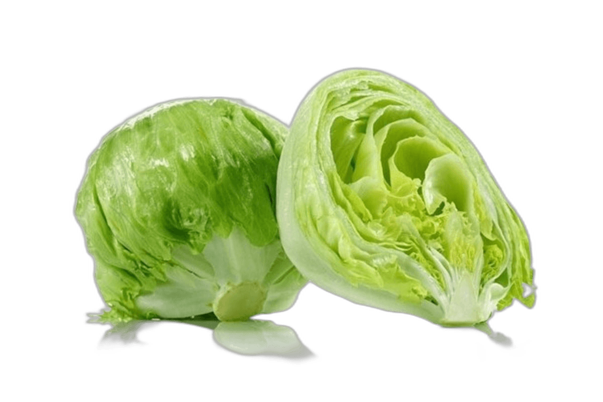 Lettuce Iceberg Kuwait 1 kg