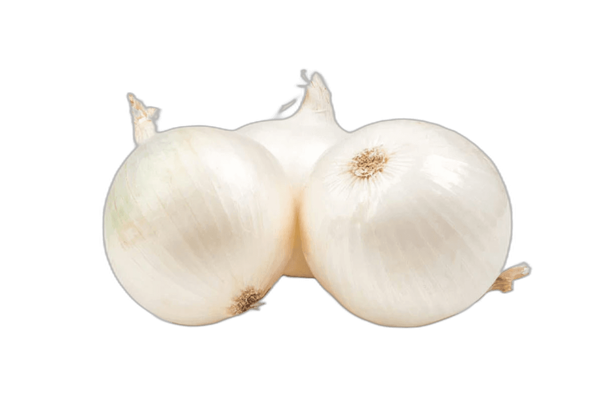 Onion White Spain 1 kg