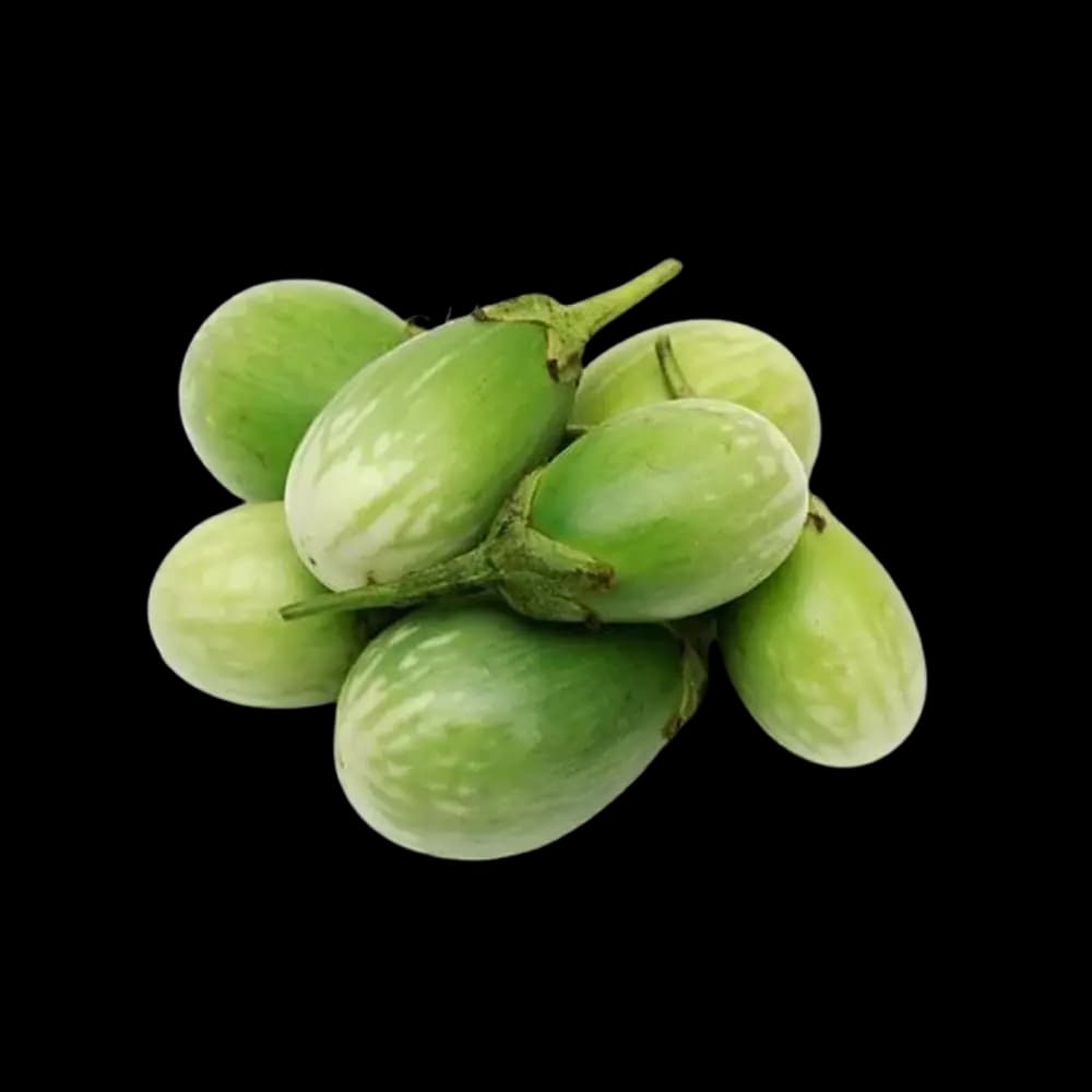 Kuwaiti Eggplant Green, 1kg