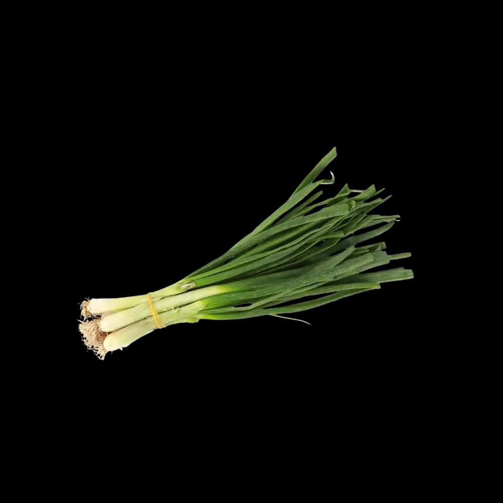 Spring Onion - Bunch