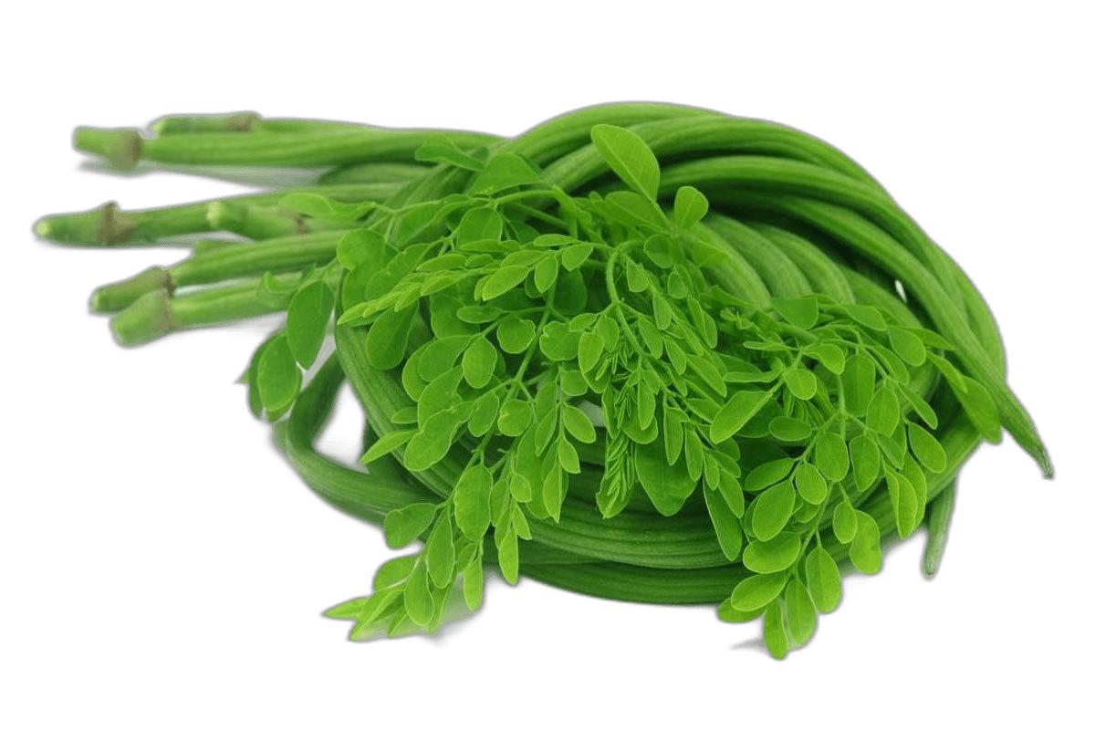 Moringa Sticks India 250 g Packet