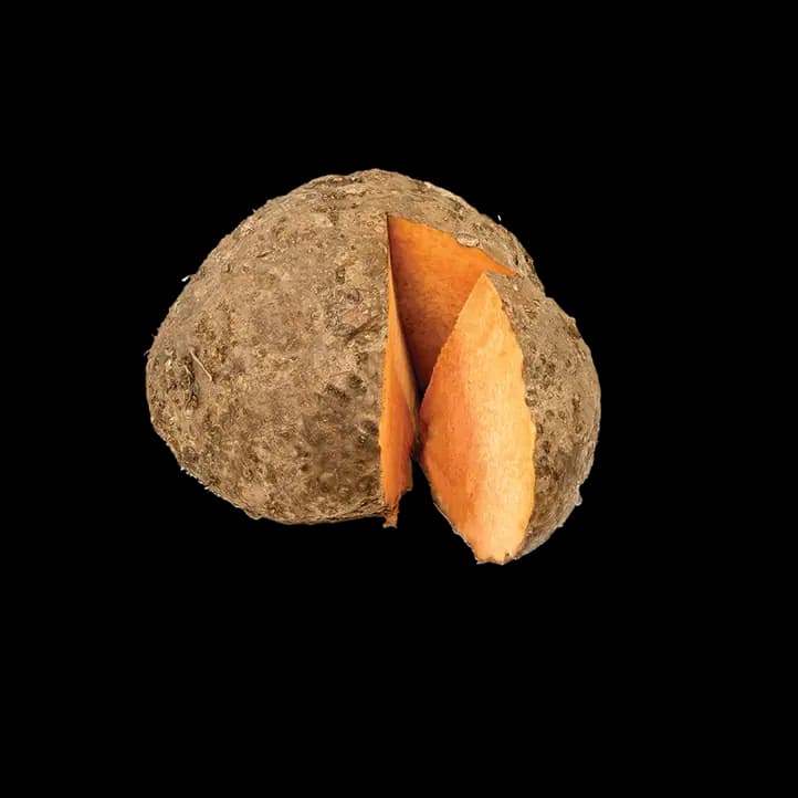 Elephant Yam (Suran) India, 1kg