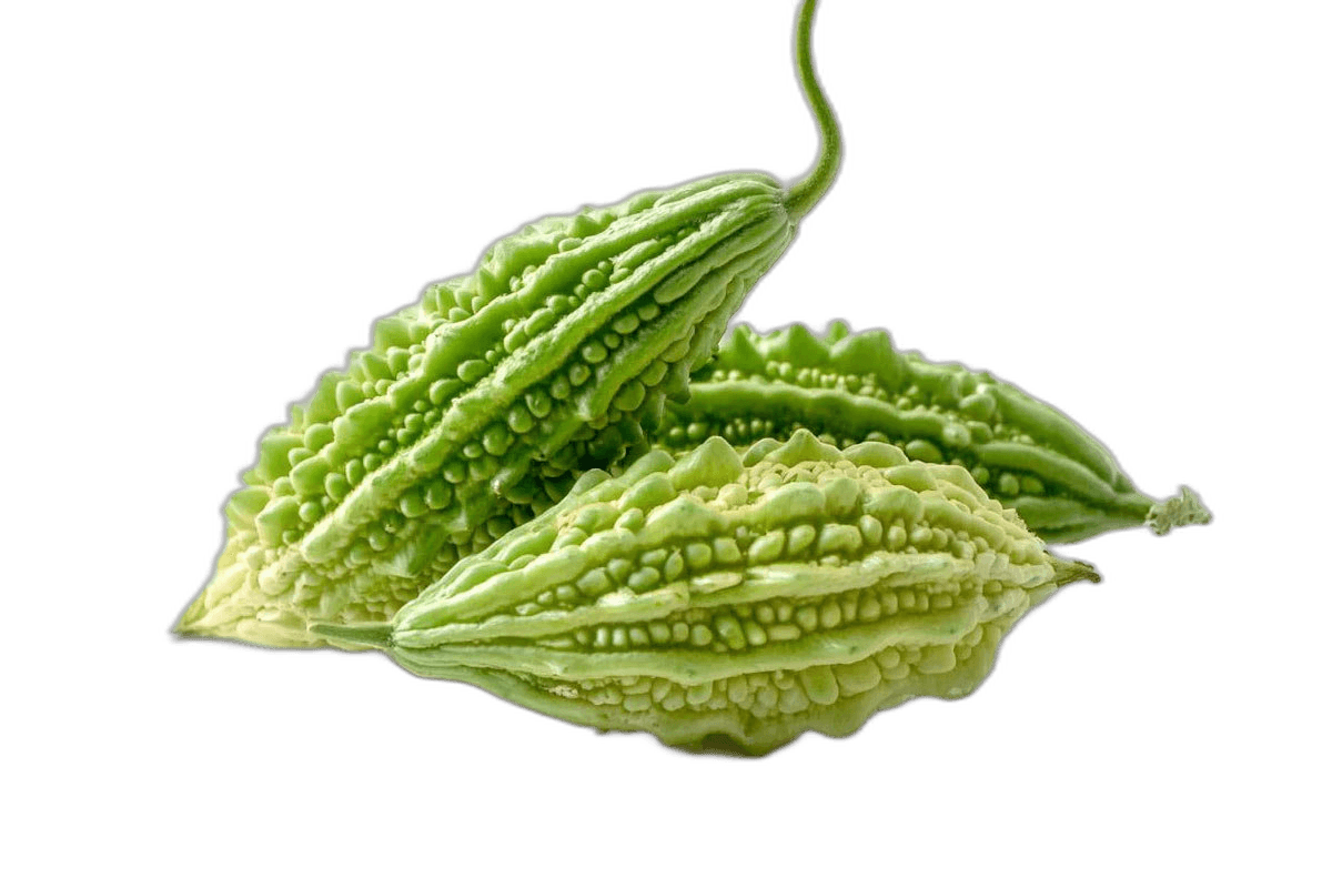 Bitter Gourd India 500 g