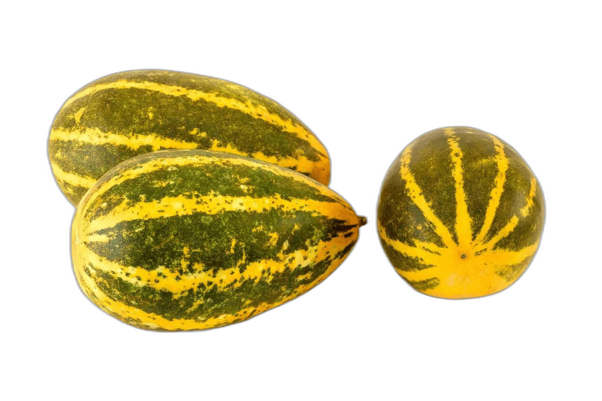 Yellow Cucumber (Vellery) India 1 kg