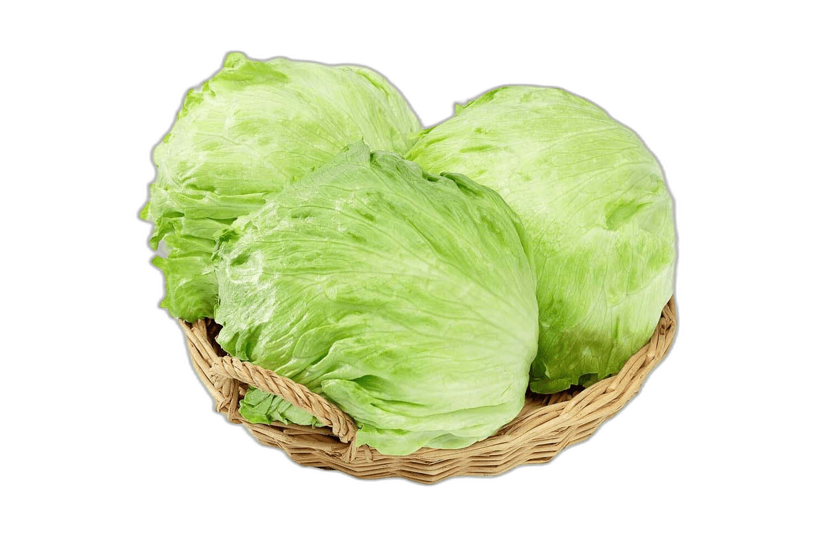Lettuce Iceberg Jordan 1 kg