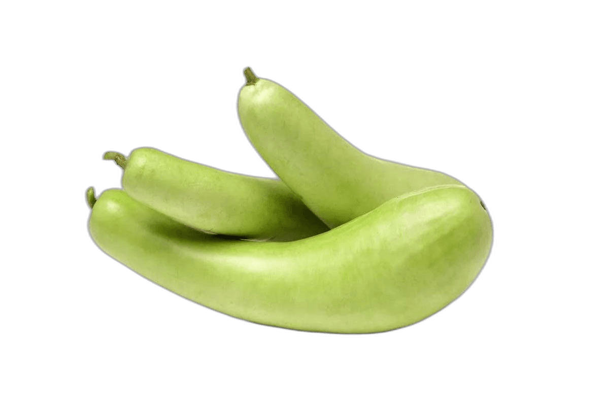 Bottle Gourd Oman, 1kg