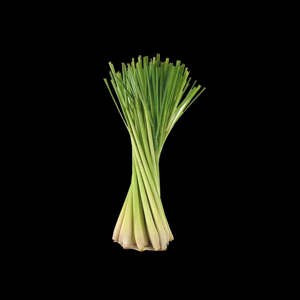 Thai Lemon Grass, 100g