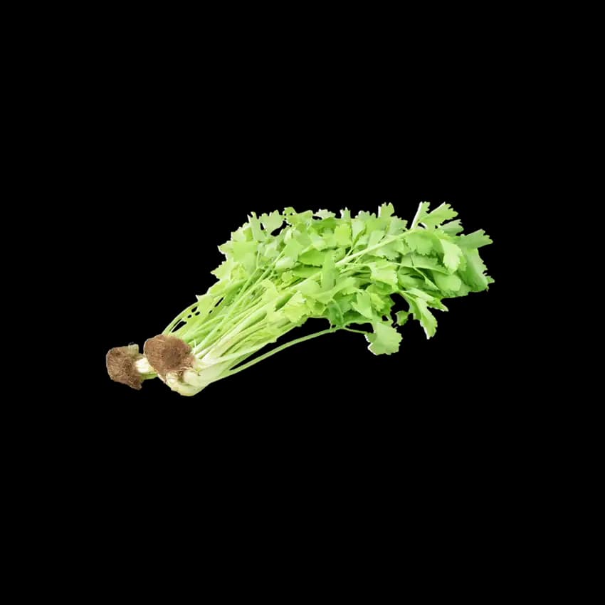 Chinese Celery, 500g