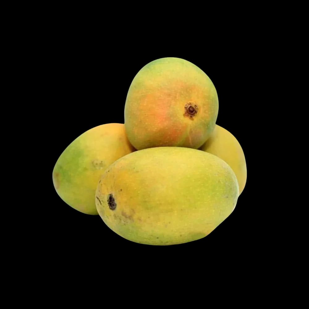 Indian Mango Alphonso, 1kg