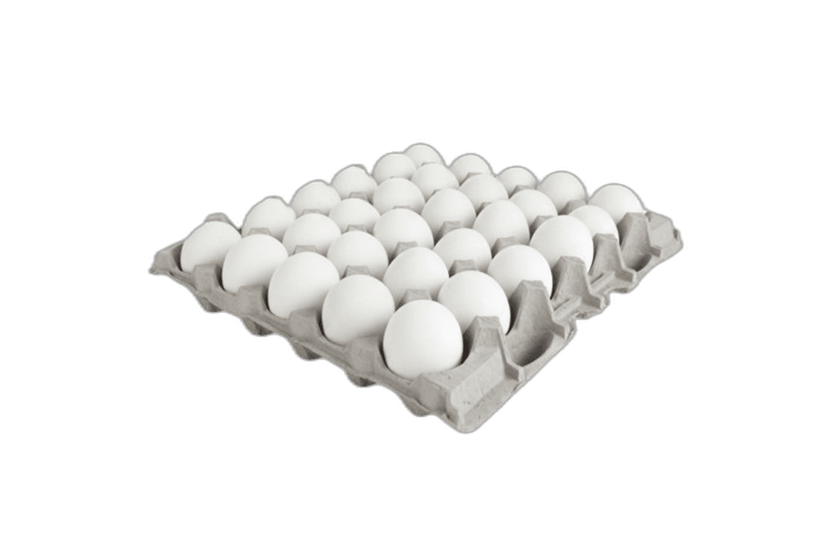 Mutahida 6070 White Eggs 30 Pack
