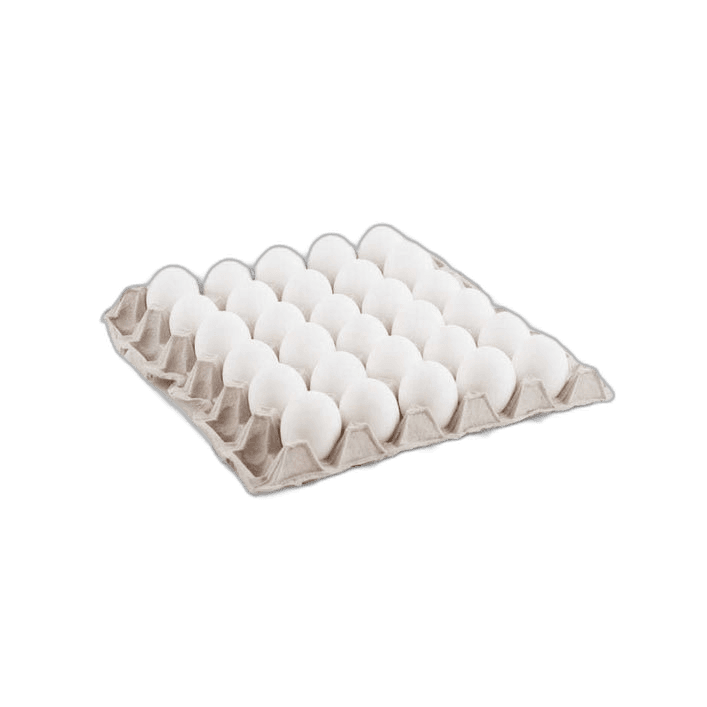 Palms Agro White Egg Tray 50/60 30