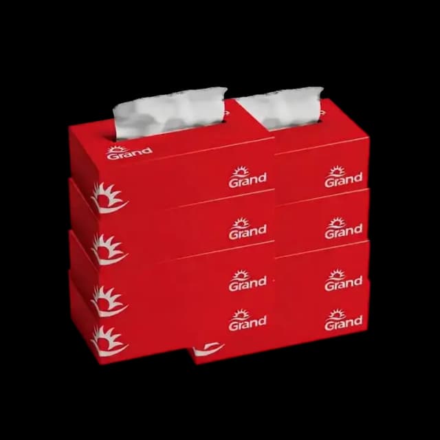 Grand Tissue Meppco Facial Care 2 Ply 6 x 150 Pulls