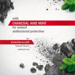 Lifebuoy BW Charcoal Jarvis, 300ml - image 3