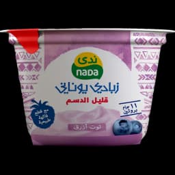Nada Blueberry Low Fat Yoghurt Greek, 160g - image 1