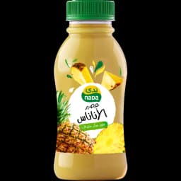 Nada Pineapple Juice, 300ml - image 1