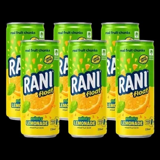 Rani Float Minty Lemonade 235 ml x 6