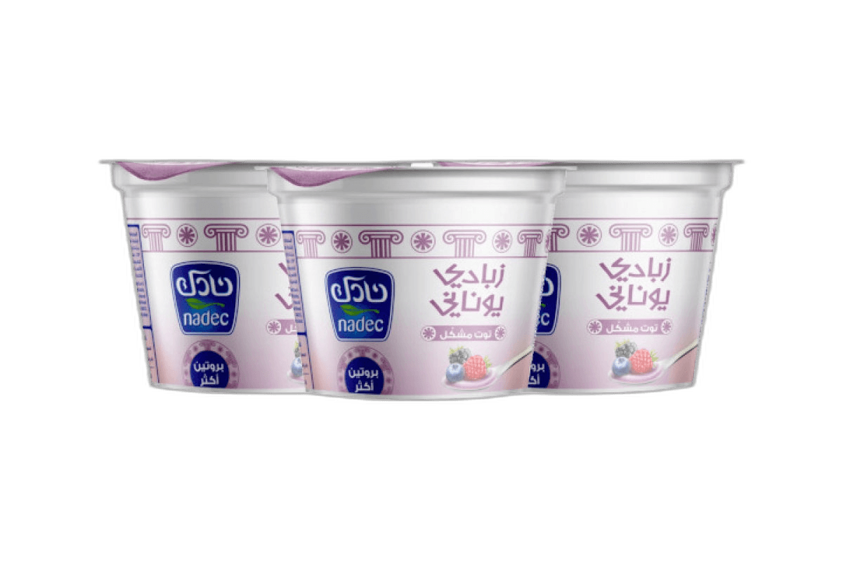 Nadec Greek Yogurt Mix Berry 3 x 160 g