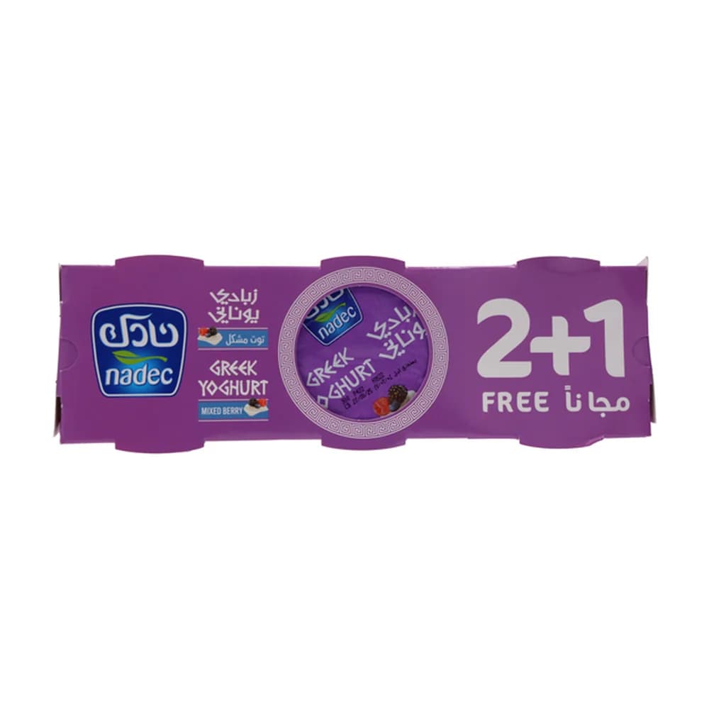 Nadec Yogurt Mix Berry Greek 3 x, 160g