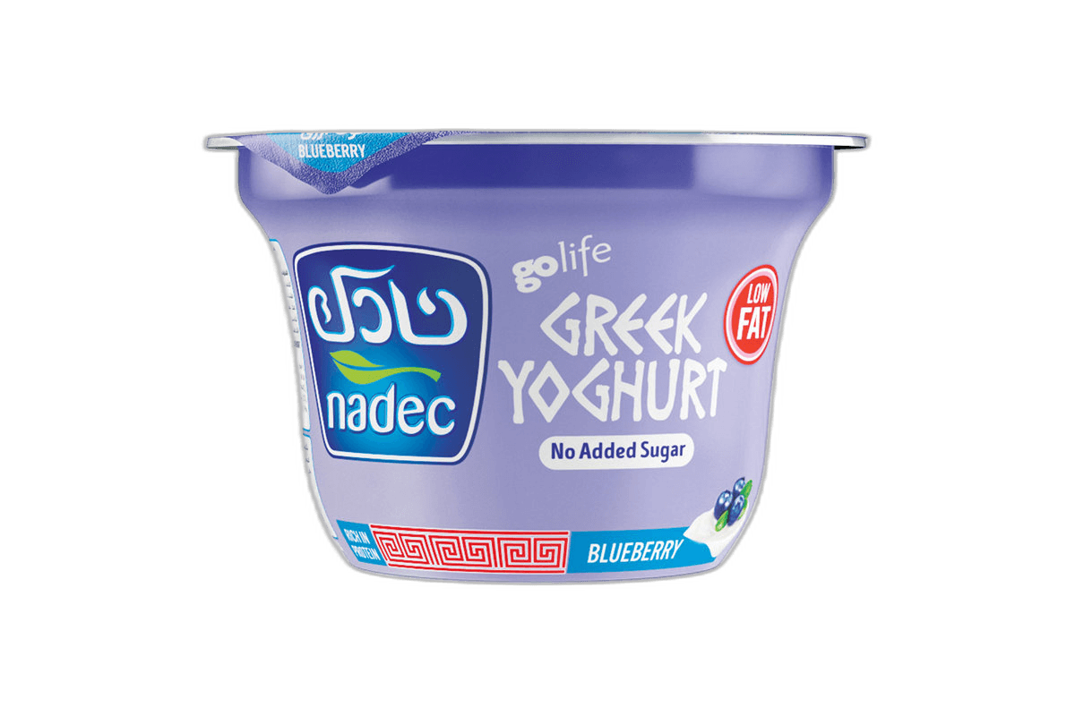Nadec Greek Yoghurt Blue Berry LF 160 g