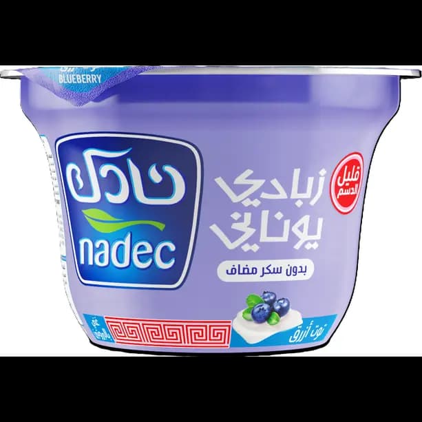 Nadec Yoghurt Blue Berry LF Greek, 160g