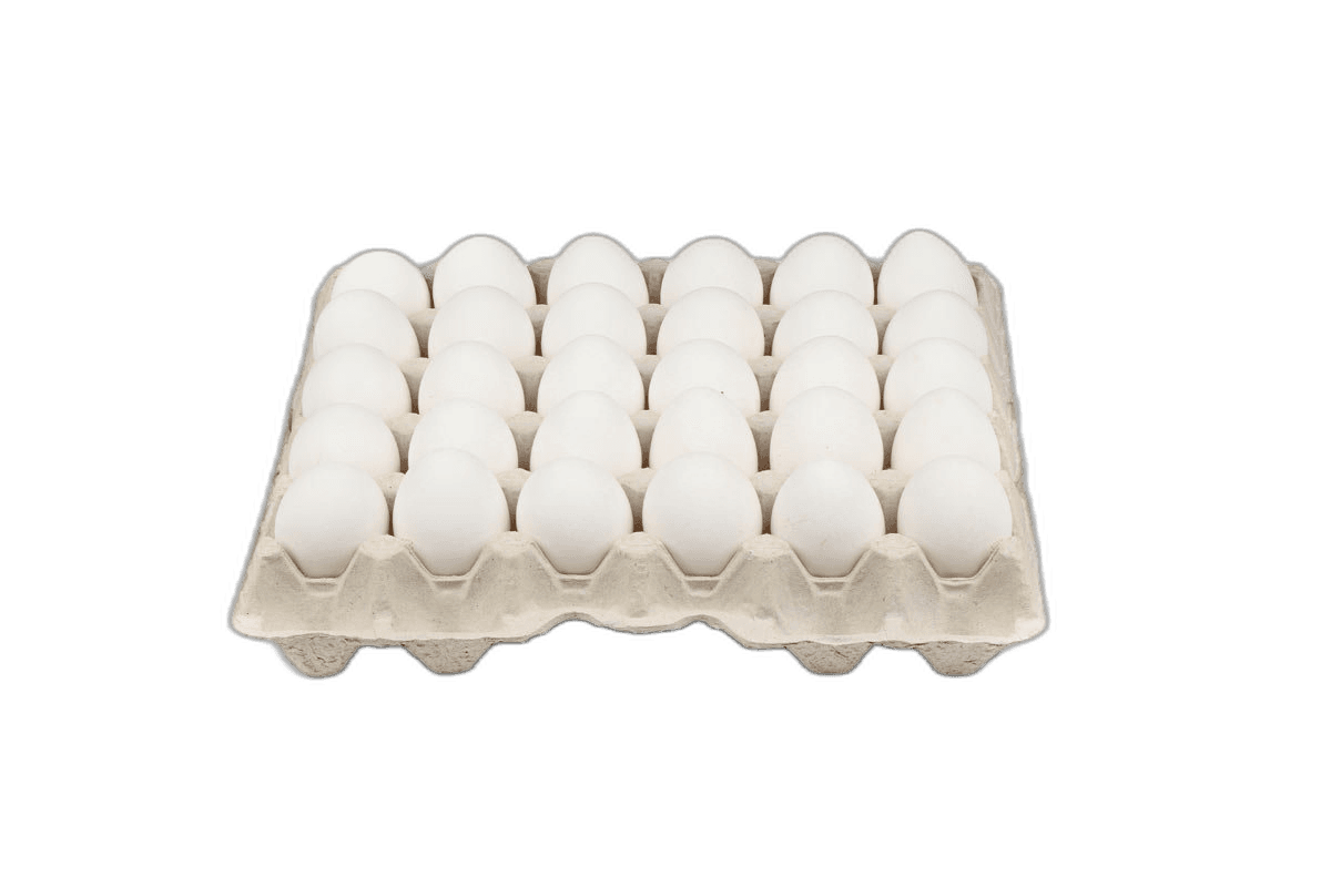 White Egg Tray 60/70 30 pcs (Import)