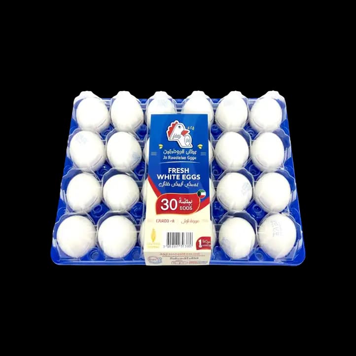 White Egg Tray 60/70 30 pcs (Import)