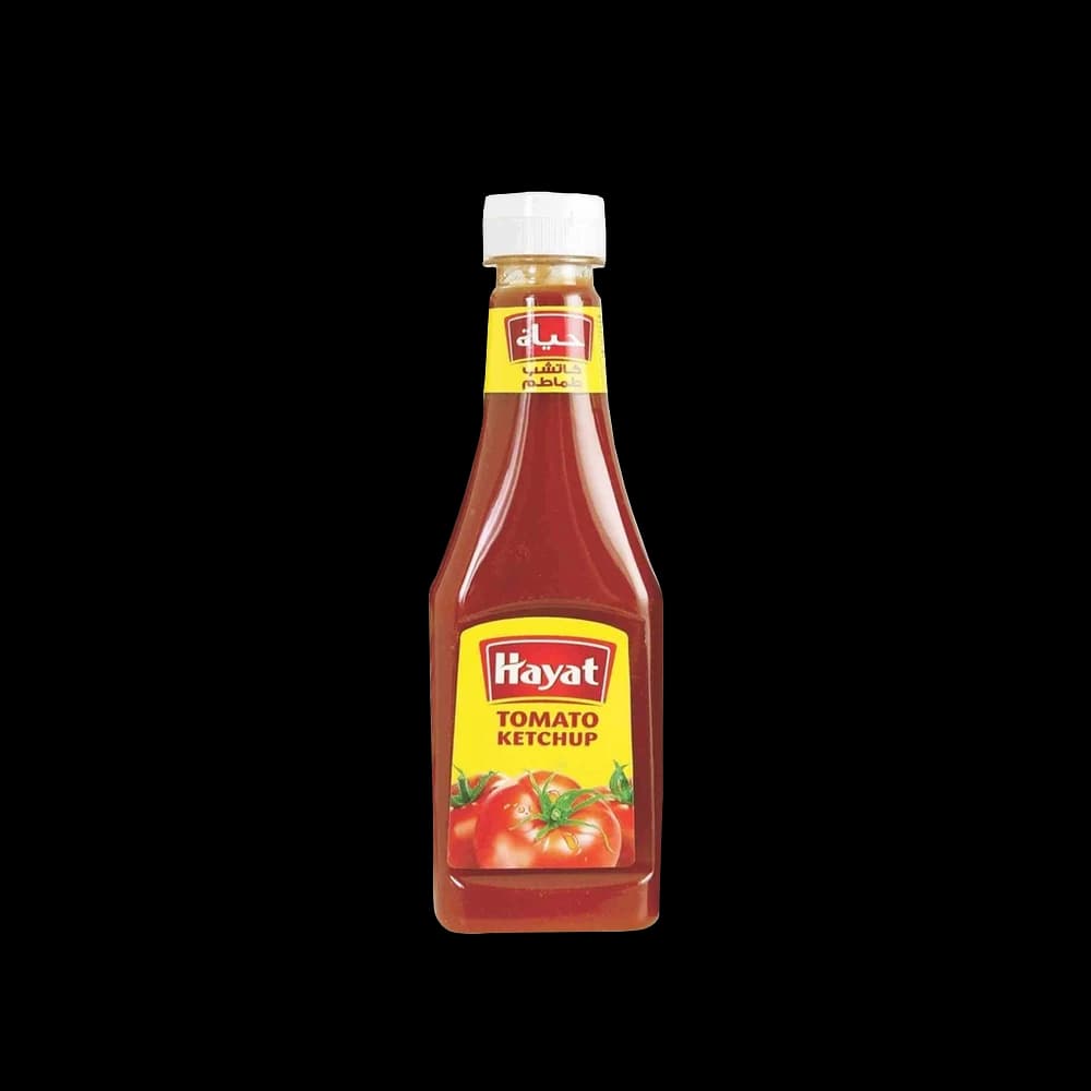 Hayat Classic Tomato Ketchup, 5kg