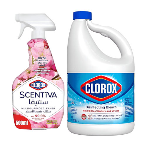Clorox Bleach + Spring Spray + 500 ml