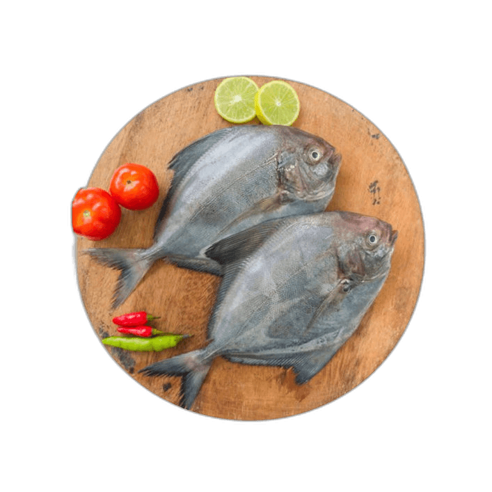 Fresh Black Pomfret Fish 1 kg Packet