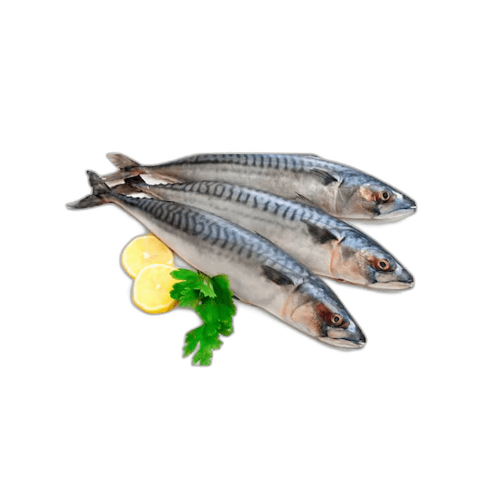 Fresh King Fish Small 2 kg