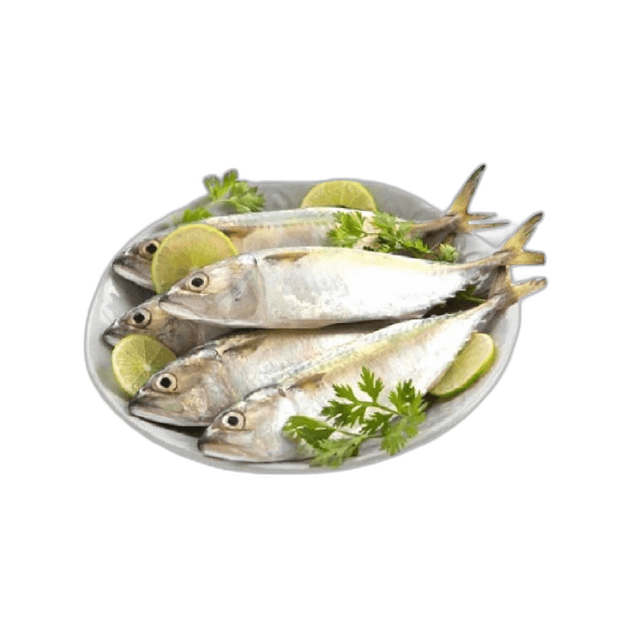 Fresh Mackerel Fish Small 1 kg Packet