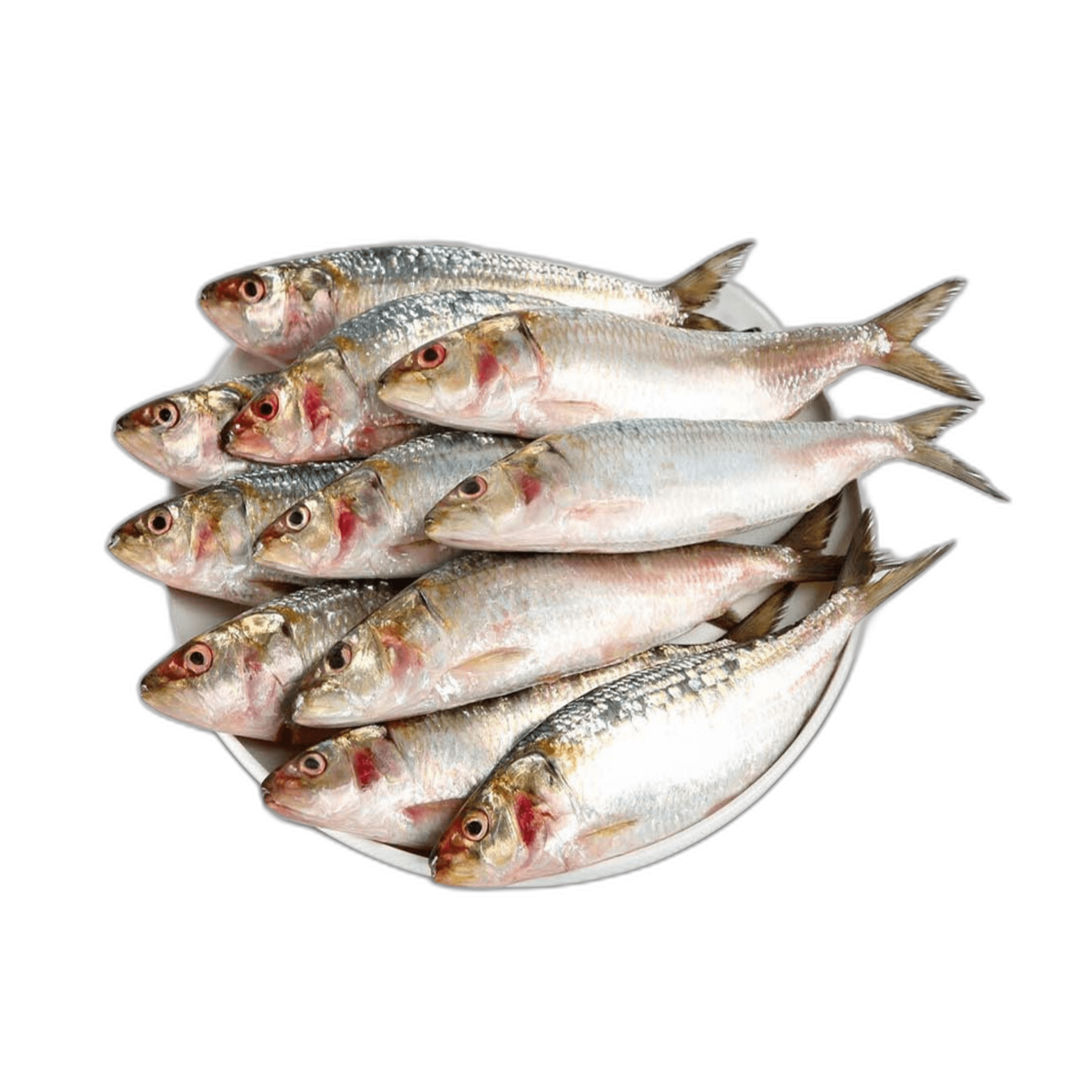 Fresh Indian Sardines 1 kg Packet