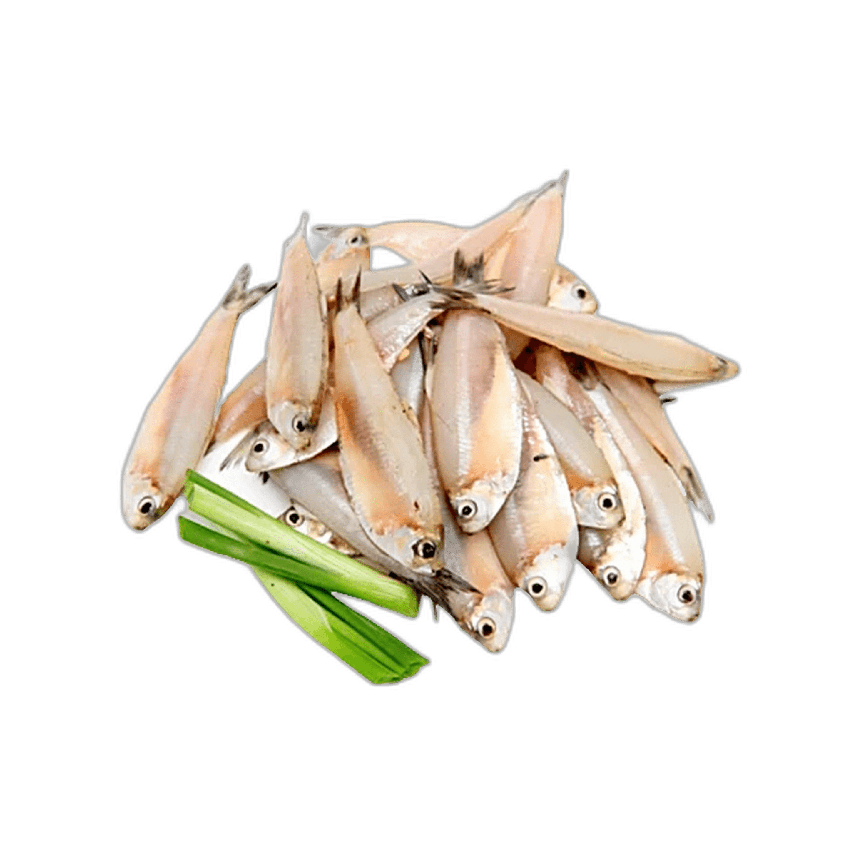 Fresh Indian Anchovy 1 kg Packet