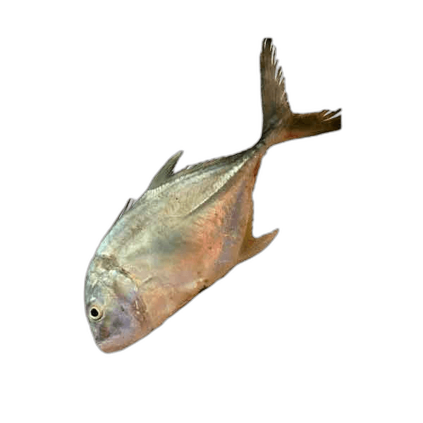 Parava Fish 1kg