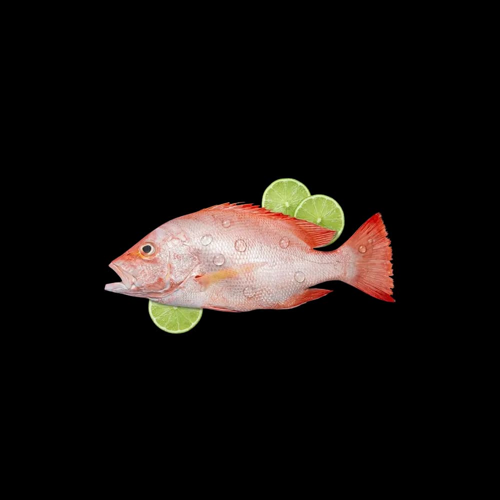 Red Snapper Fish, 1kg