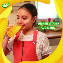 Tang Pineapple Pouch, 375g - image 1