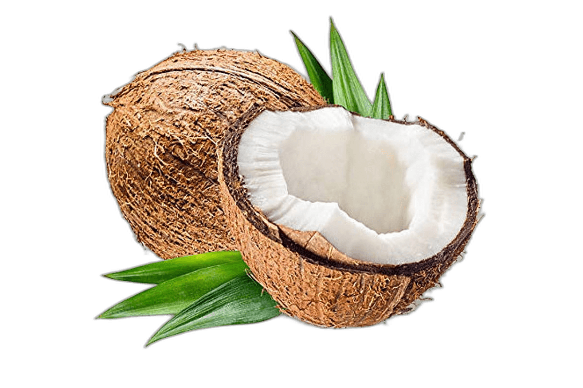Coconut India Pieces