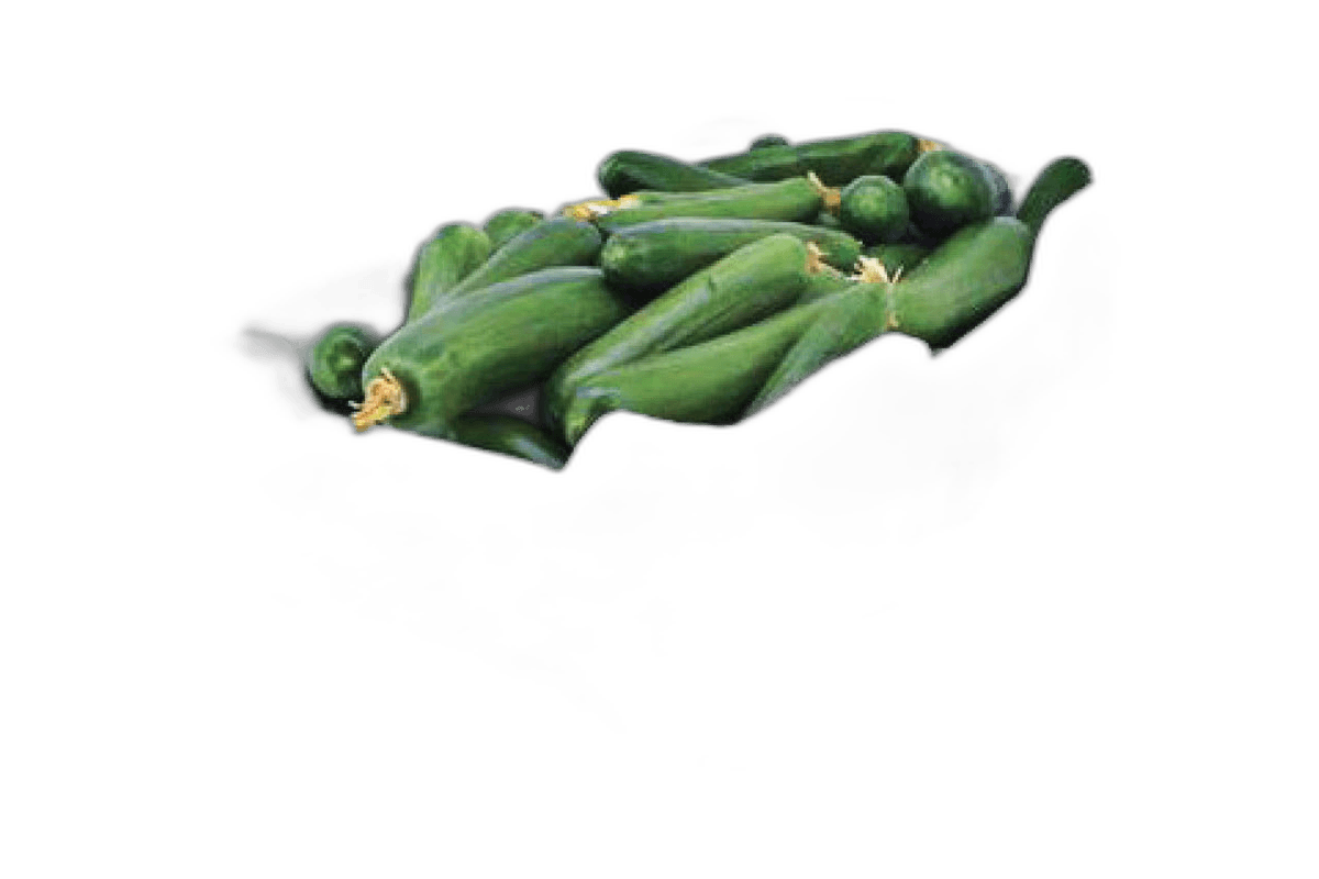 Cucumber Box