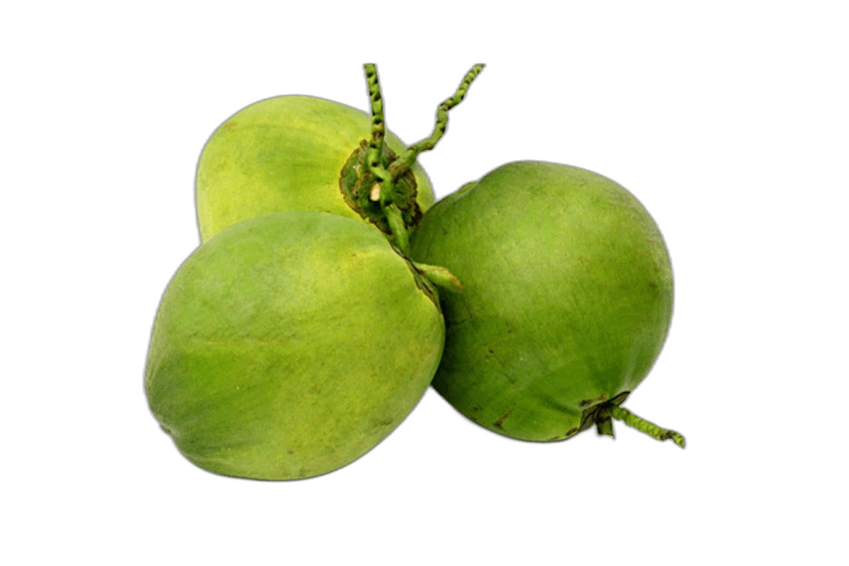Tender Coconut Pieces