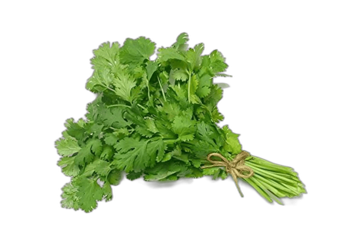 Coriander Leaves Pieces