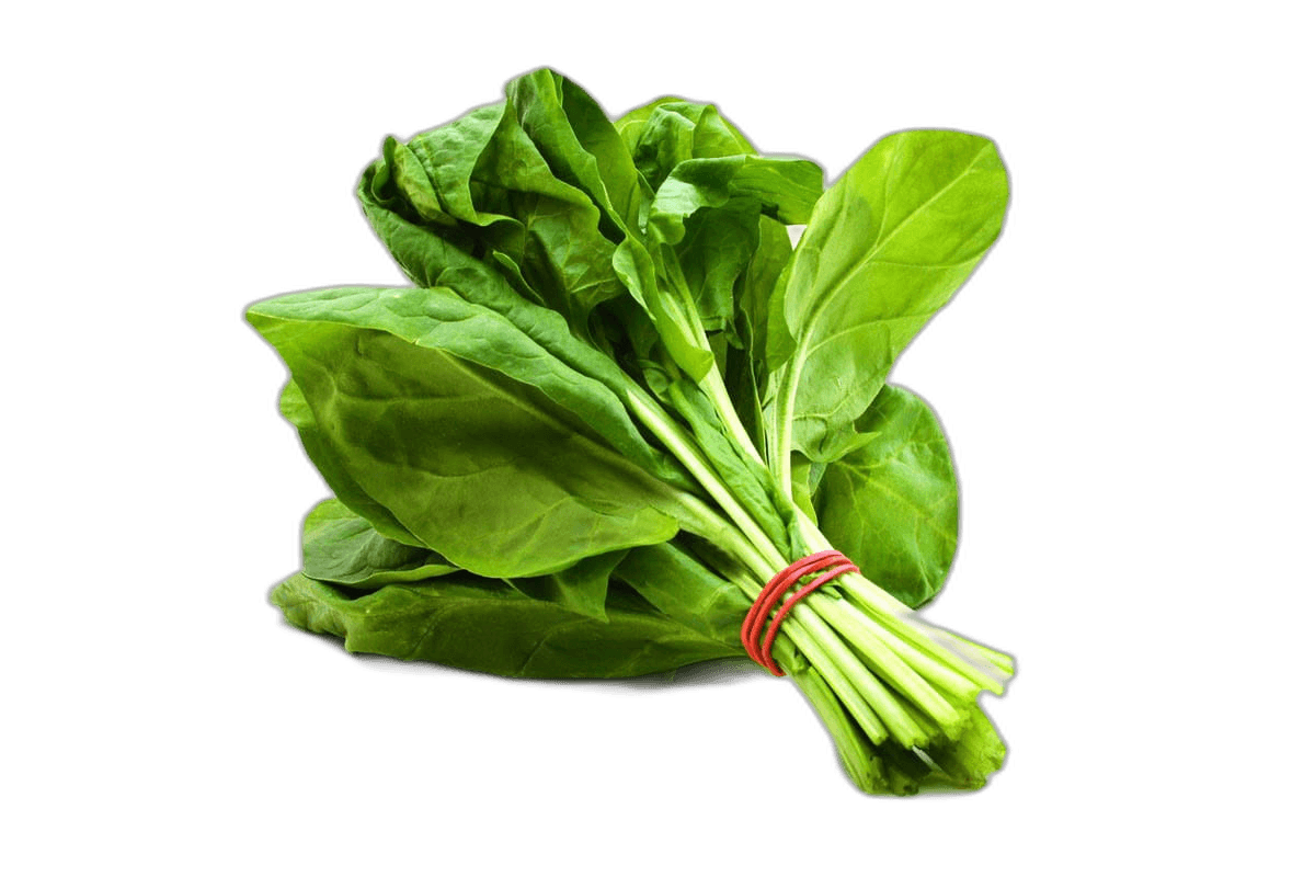 Palak Pieces