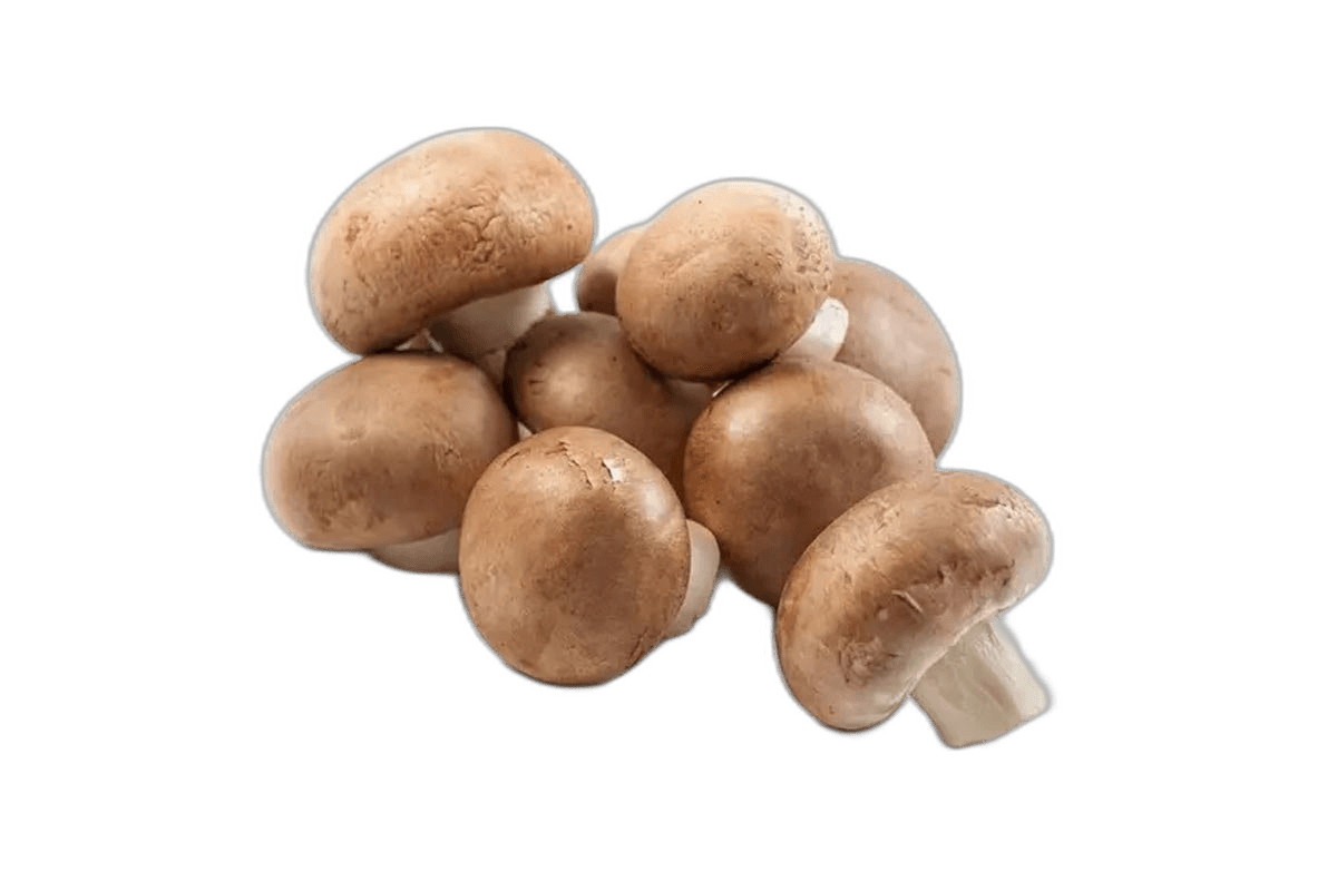 Kuwait Brown Shimeji Mushroom 150 g Holland
