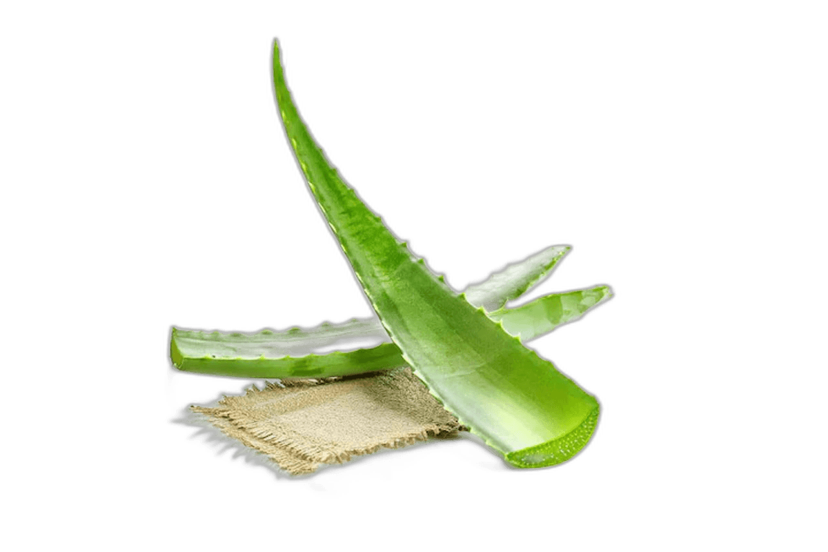 Aloe Vera 1 kg