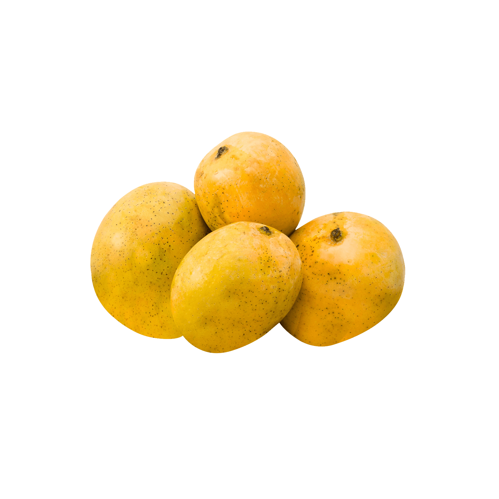 Moovandan Mango, 1kg approx.