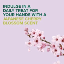 Palmolive Cherry Blossom Hand Wash, 250ml - image 2