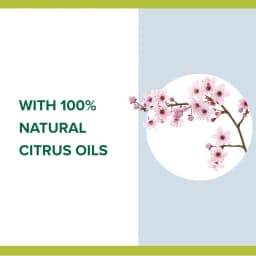 Palmolive Cherry Blossom Hand Wash, 250ml - image 1