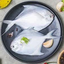 Fresh White Pomfret Big per kg approx.